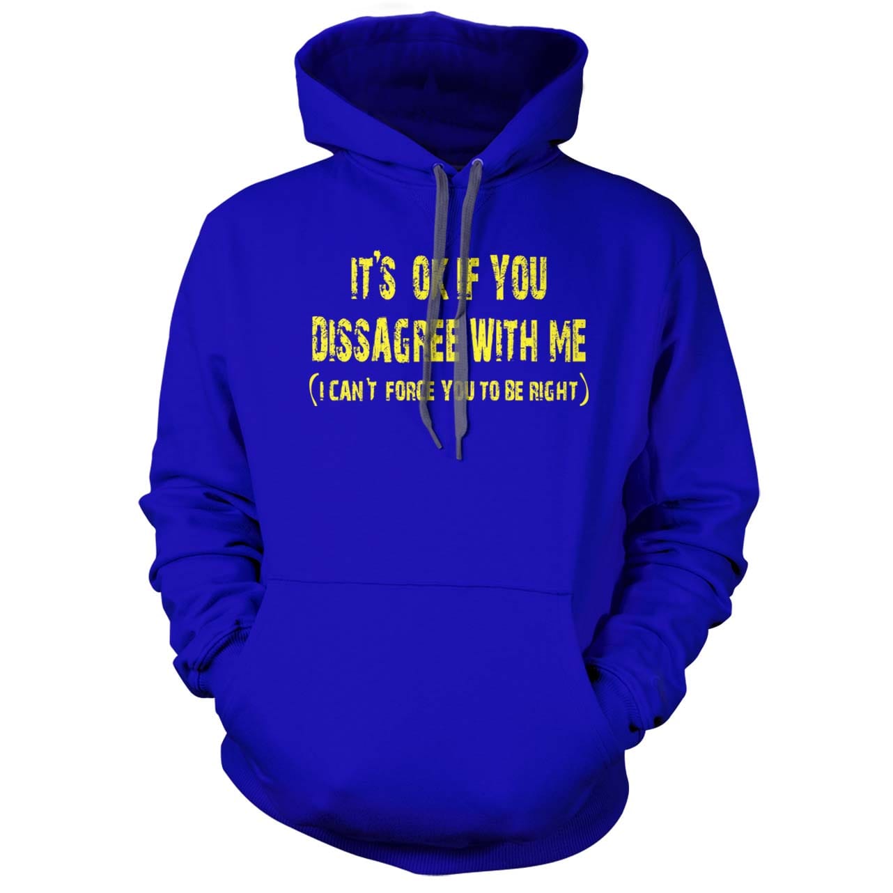 It's ok if you disagree with me (I can't force you to be right) Hoodie