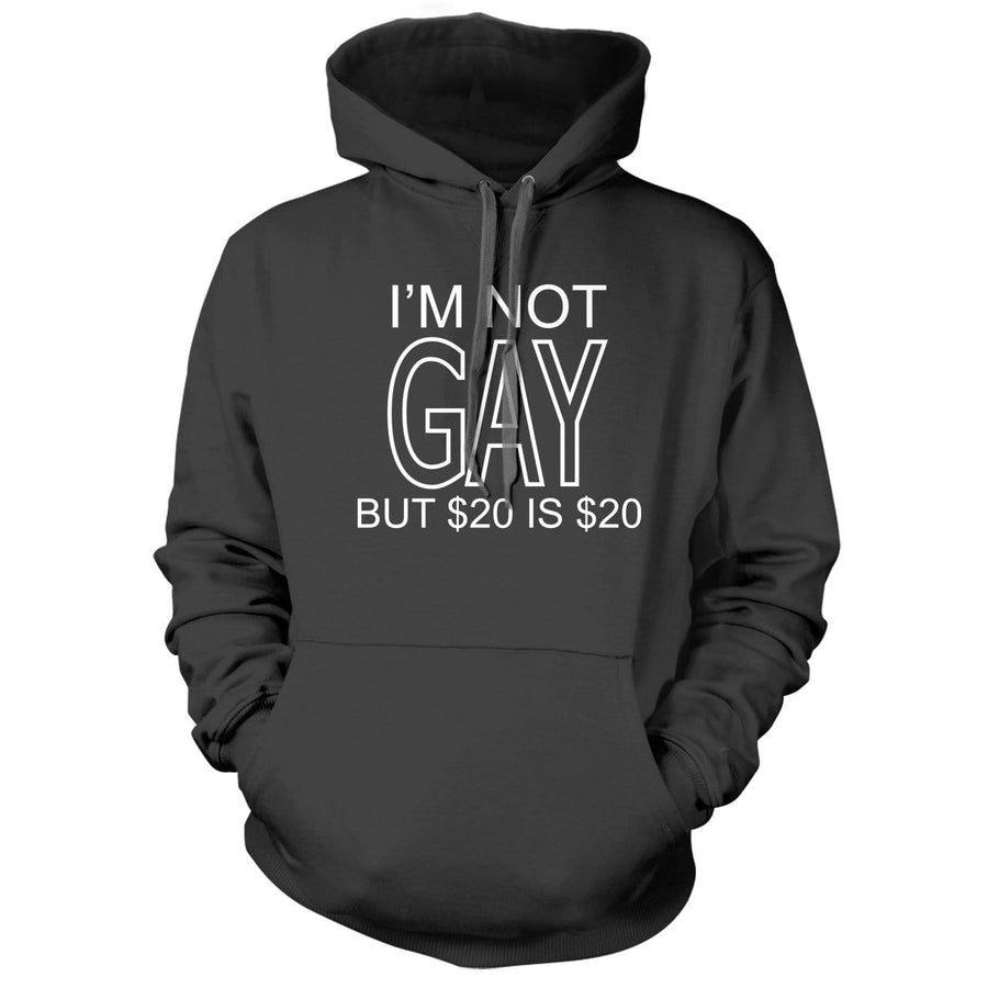 I'm Not Gay But $20 Is $20 Royal Hoodie - We Got Teez